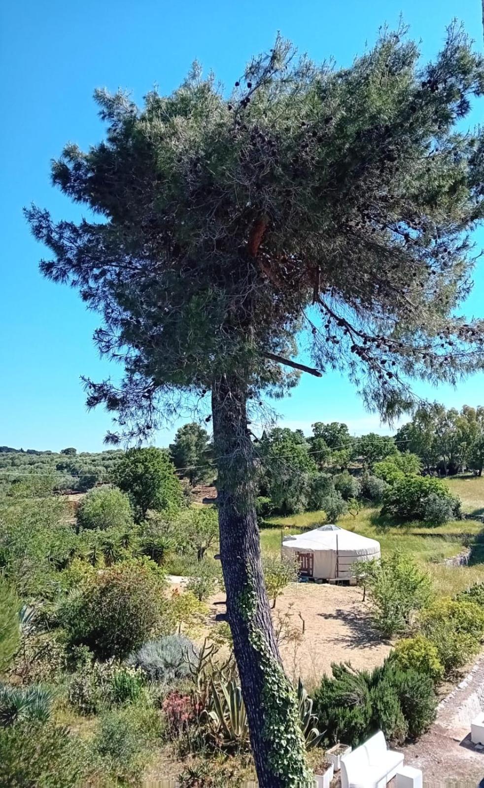 Pensjonat Torre Marinella Ostuni Zewnętrze zdjęcie