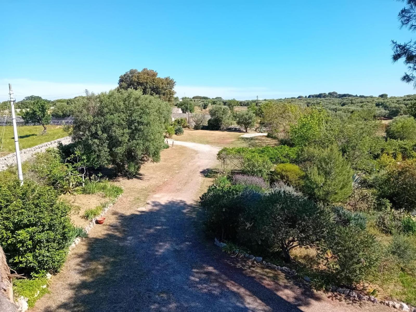 Pensjonat Torre Marinella Ostuni Zewnętrze zdjęcie