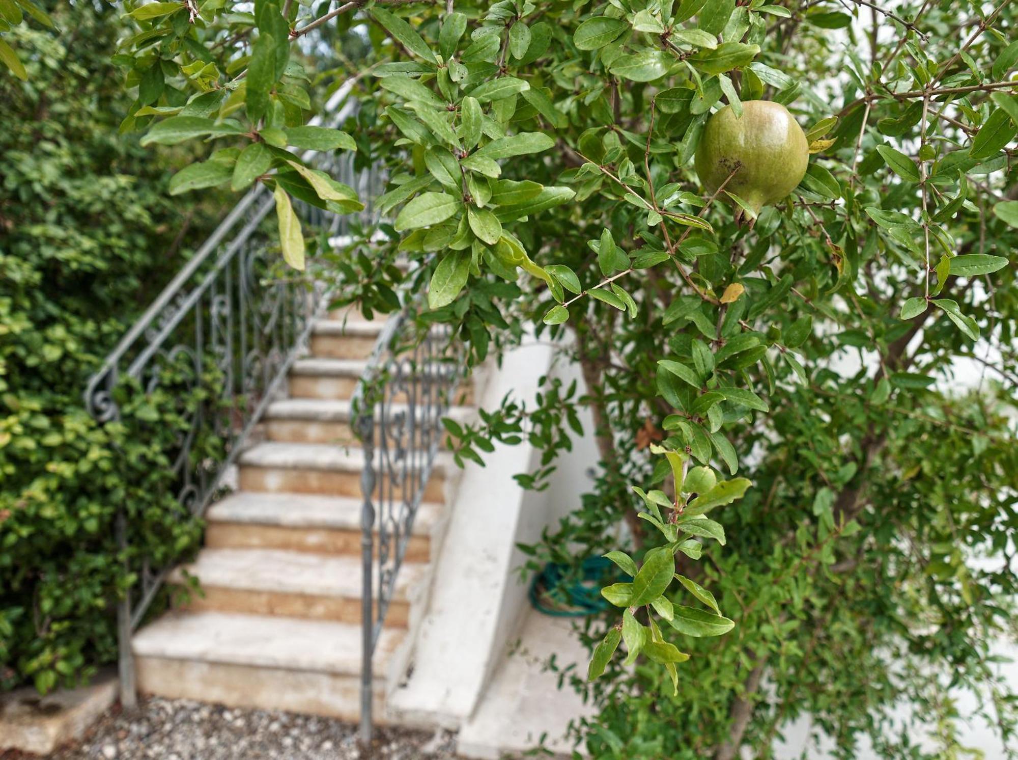 Pensjonat Torre Marinella Ostuni Zewnętrze zdjęcie