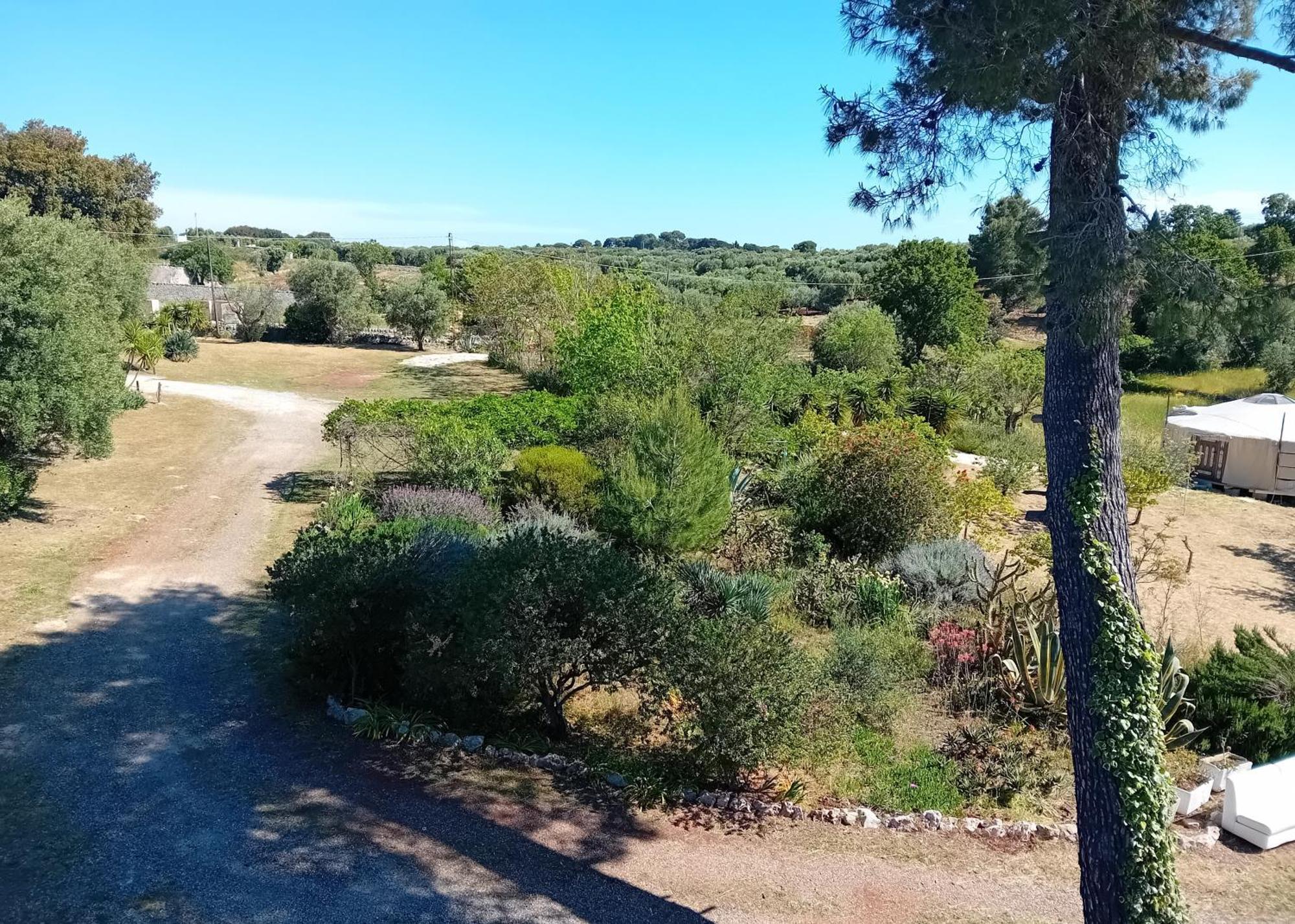 Pensjonat Torre Marinella Ostuni Zewnętrze zdjęcie